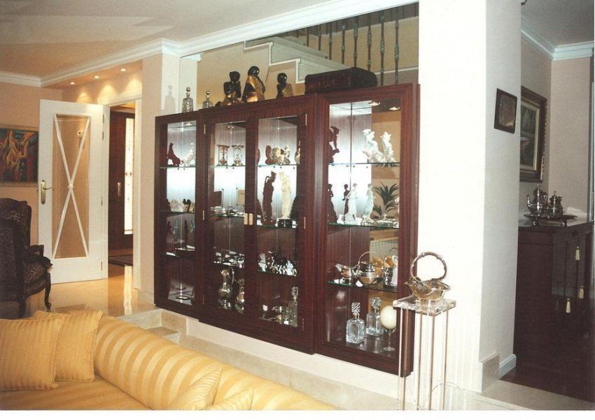 Vitrina coleccionista