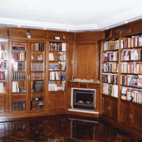 Libreria  con chimenea de esquina